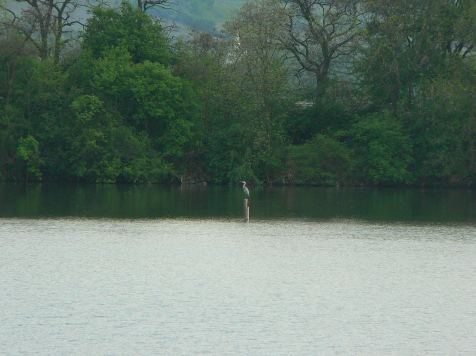 Ubytov�n� ve Strachot�n� - fotogalerie